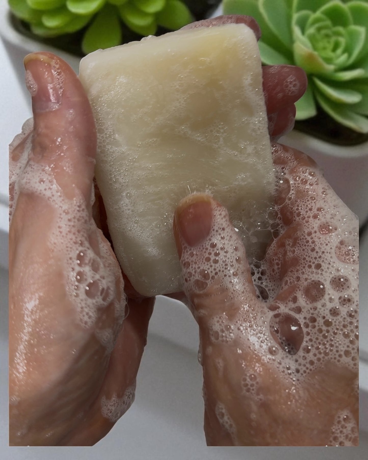Sacred Suds Tallow Soap – Lemongrass & Coconut Oil Bar