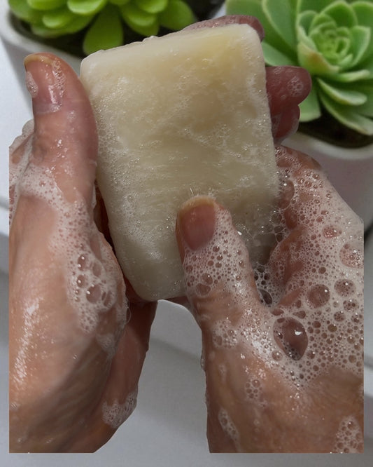 Sacred Suds Tallow Soap – Lemongrass & Coconut Oil Bar
